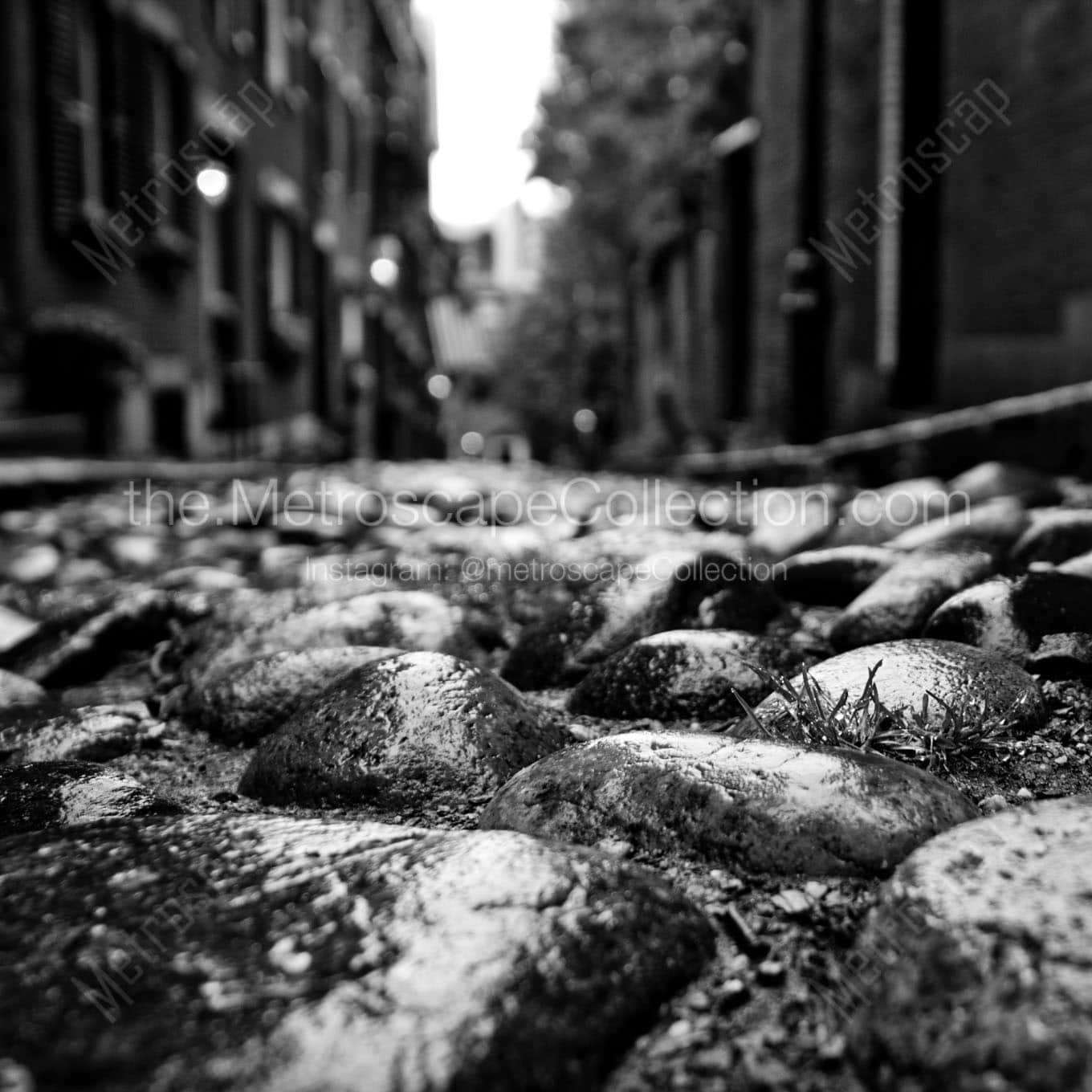 acorn street cobblestones Black & White Wall Art