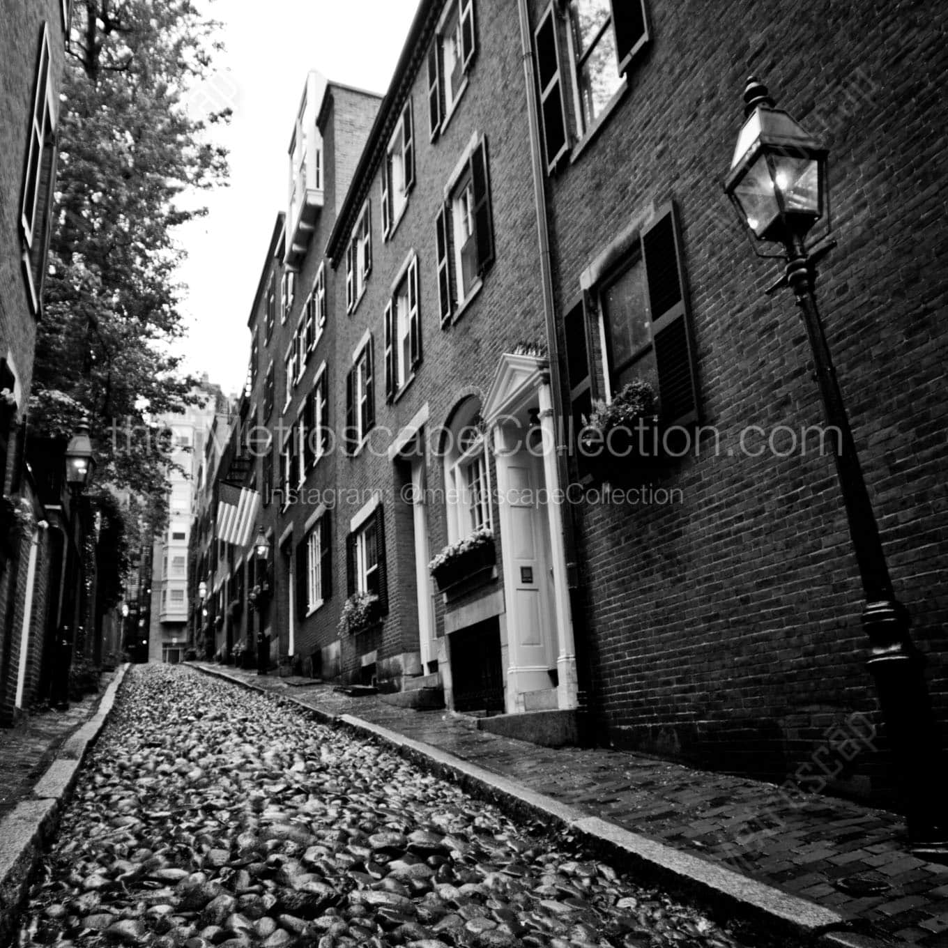 acorn street beacon hill Black & White Wall Art