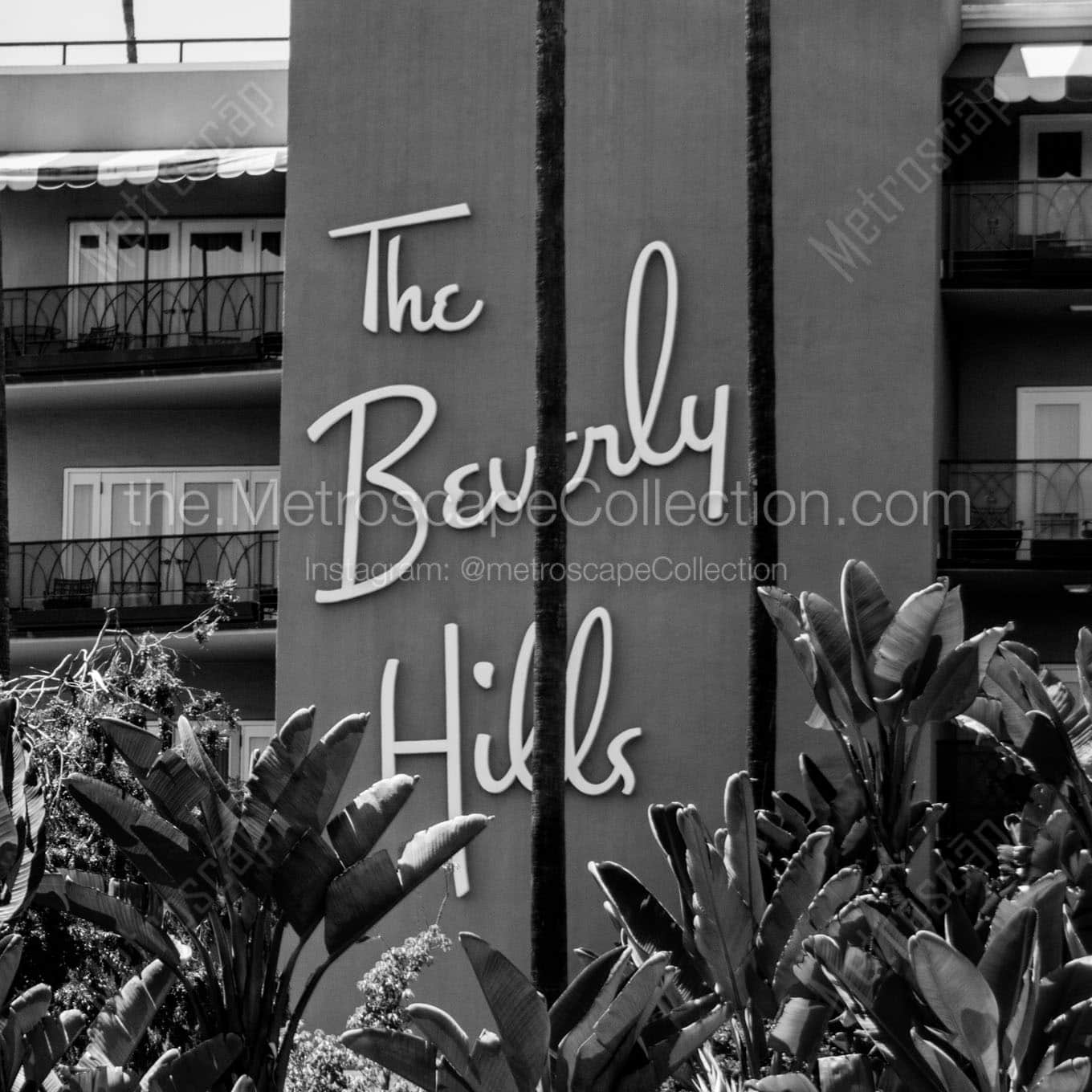 beverly hills hotel tropical foliage Black & White Wall Art