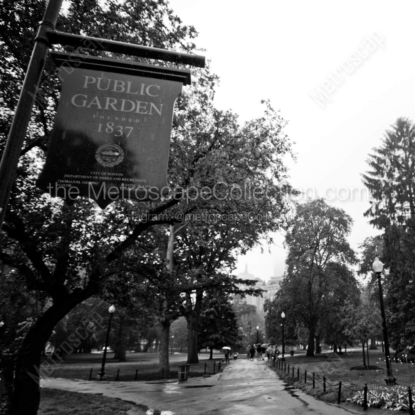 boston public garden Black & White Wall Art