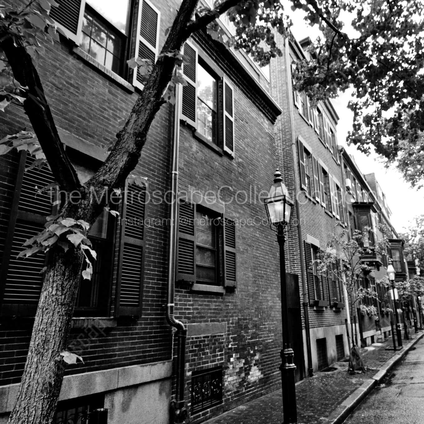 cedar street beacon hill Black & White Wall Art