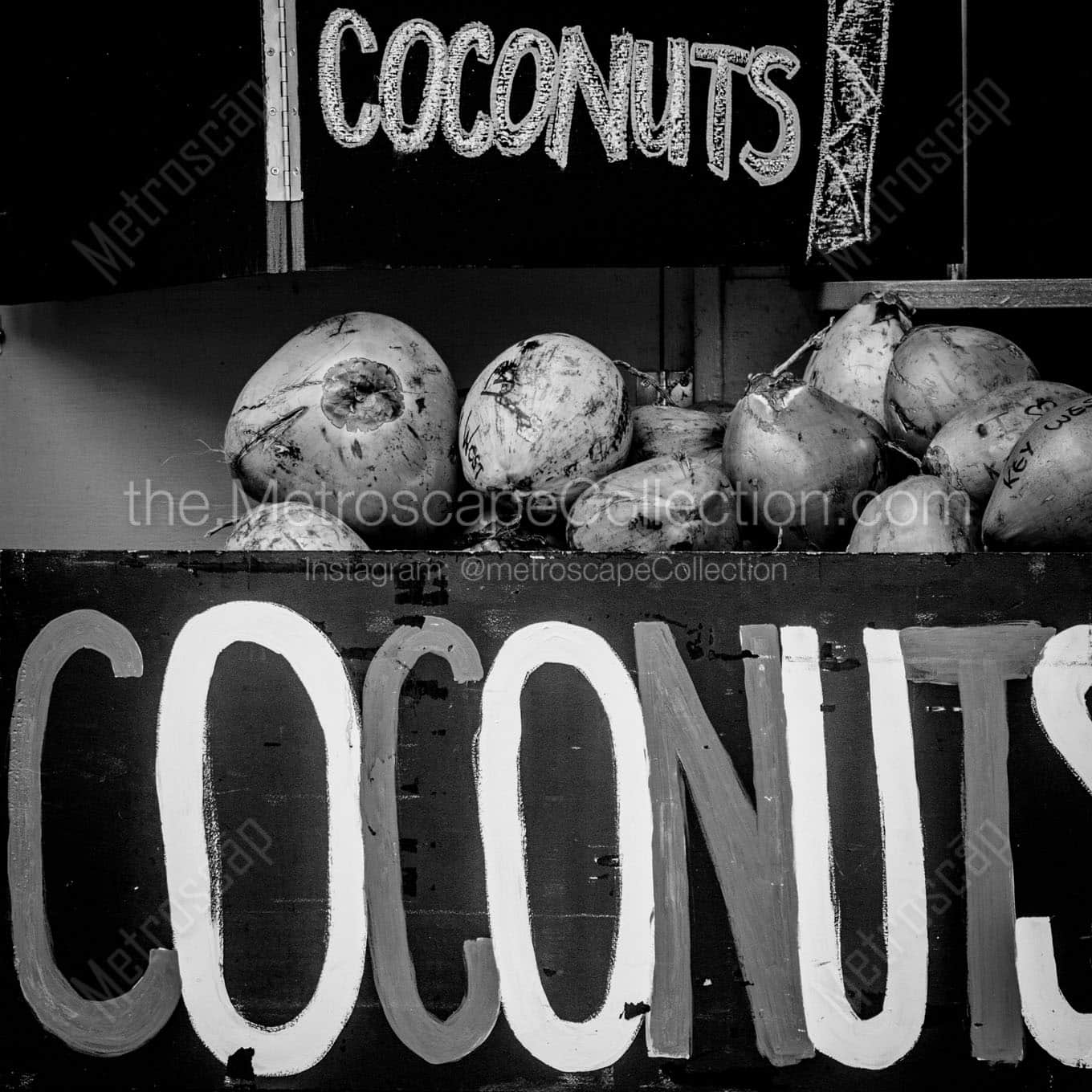 coconuts Black & White Wall Art