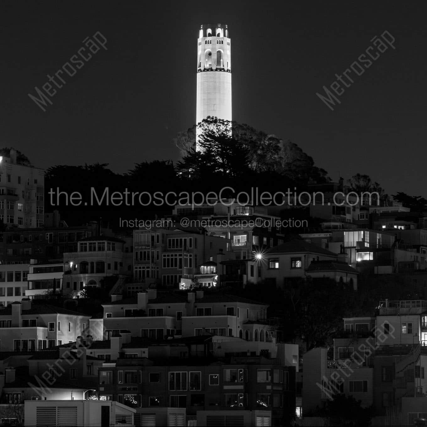 coit tower from russian hill Black & White Wall Art