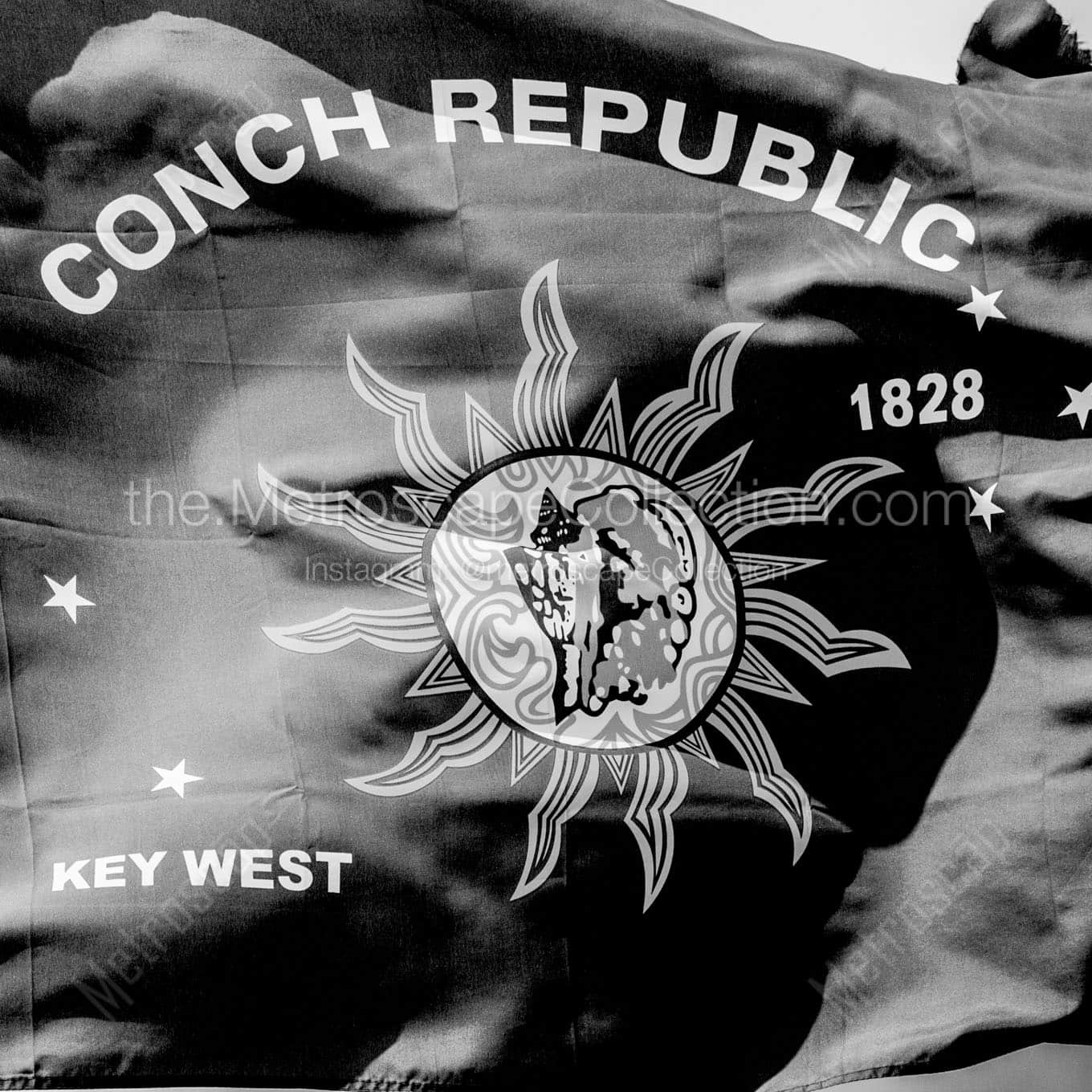 conch republic flag Black & White Wall Art