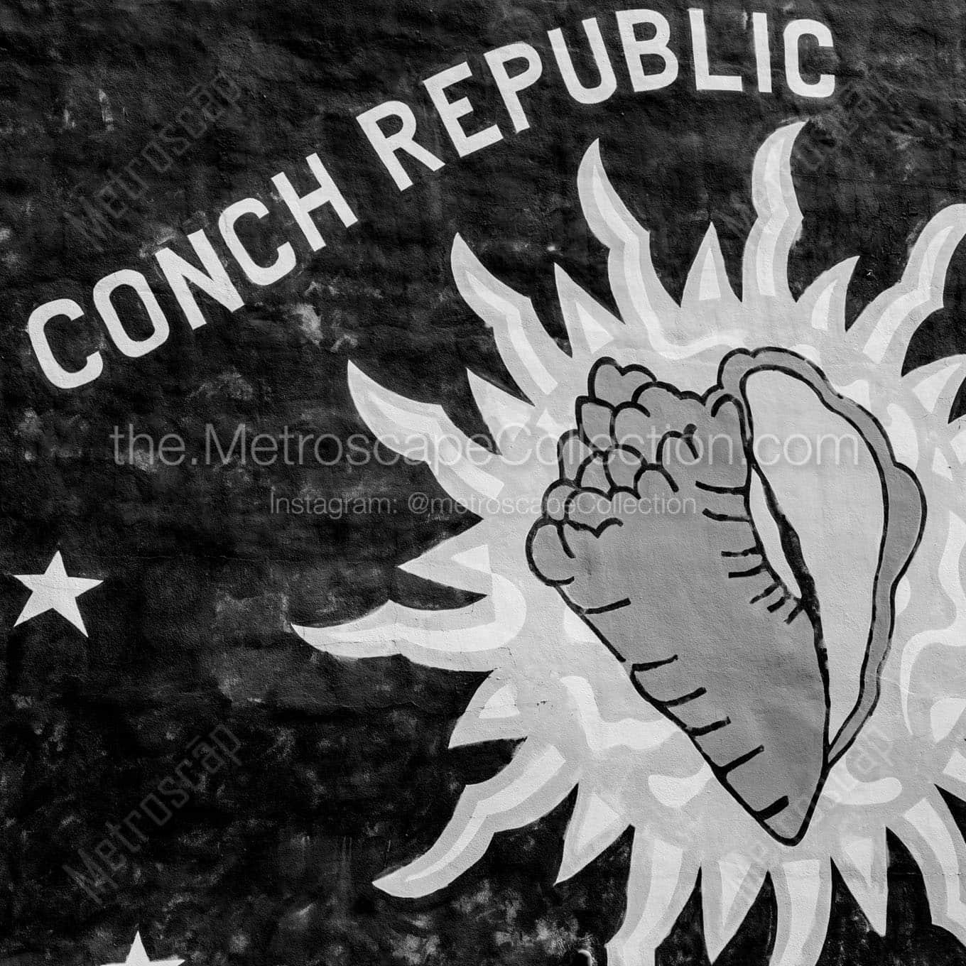 eyw conch republic mural Black & White Wall Art