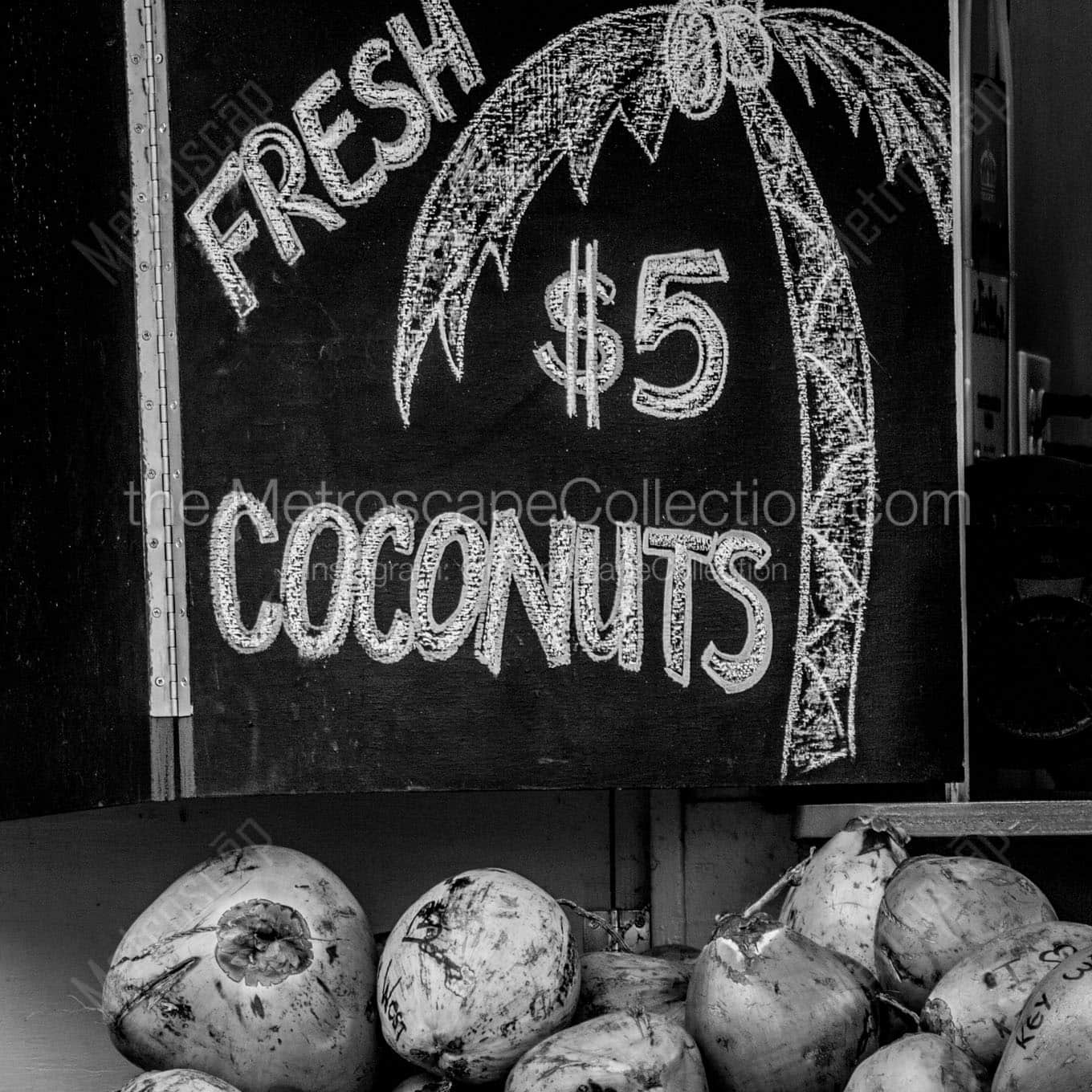fresh coconuts Black & White Wall Art