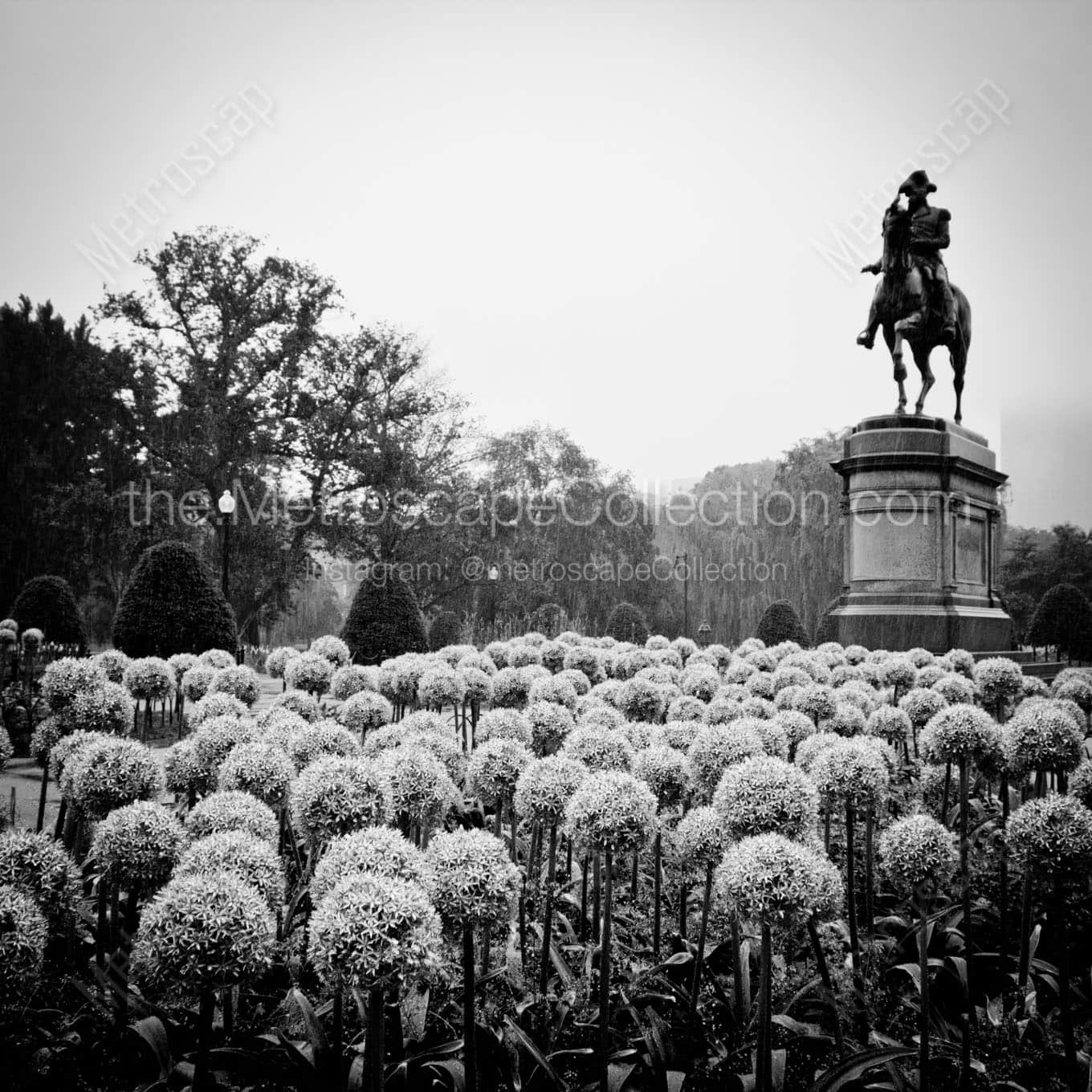 george washington statue public garden Black & White Wall Art