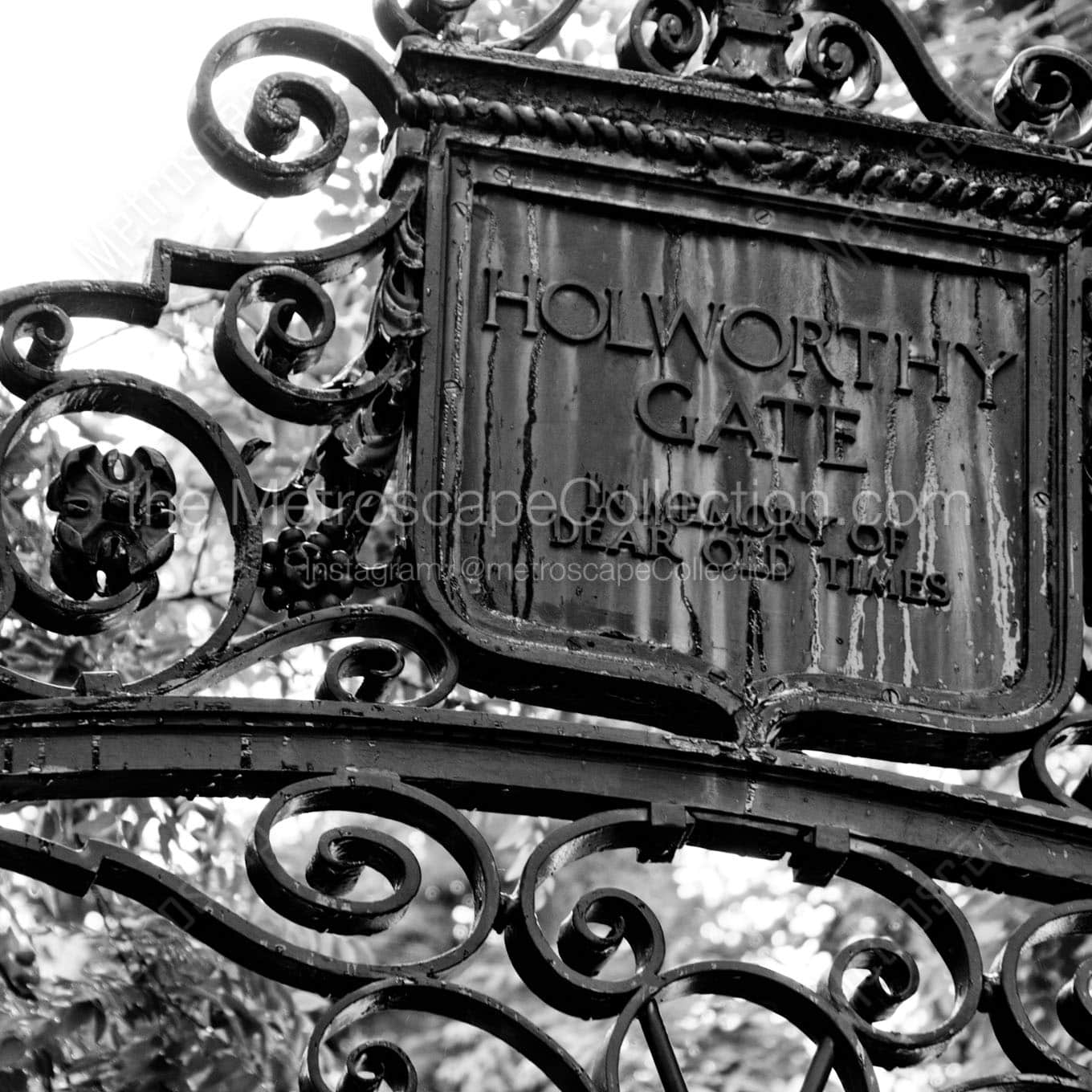 harvard university holworthy gate Black & White Wall Art