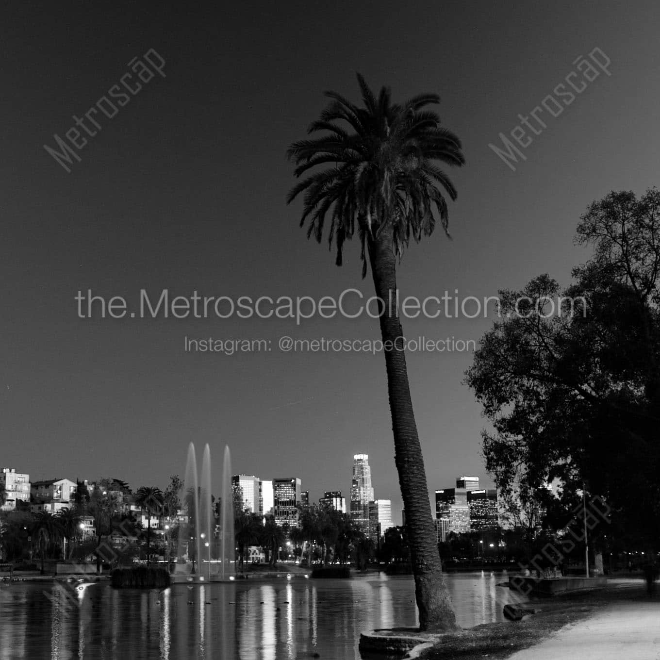 lone palm tree echo park los angeles skyline Black & White Wall Art