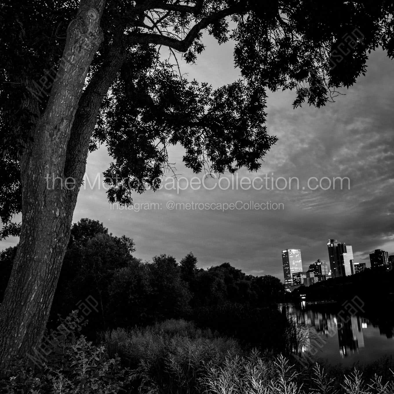 milwaukee skyline from mckinley park Black & White Wall Art