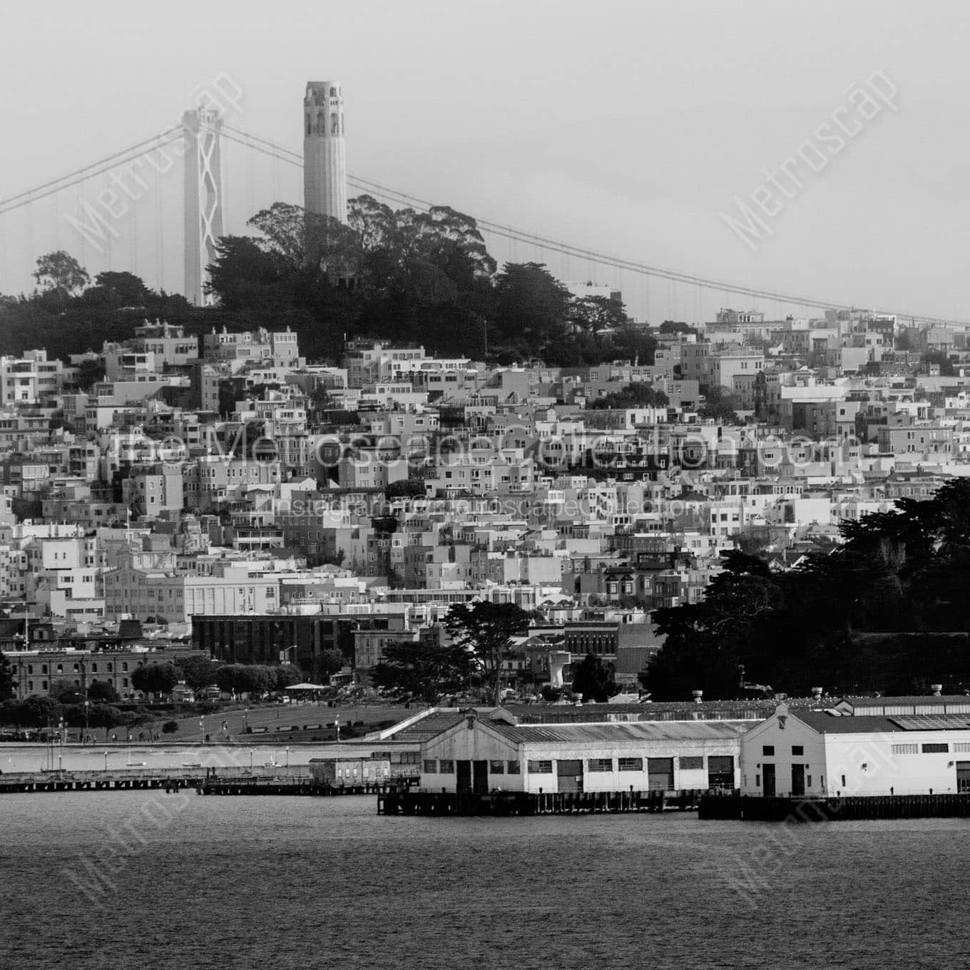 telegraph hill coit tower bay bridge Black & White Wall Art