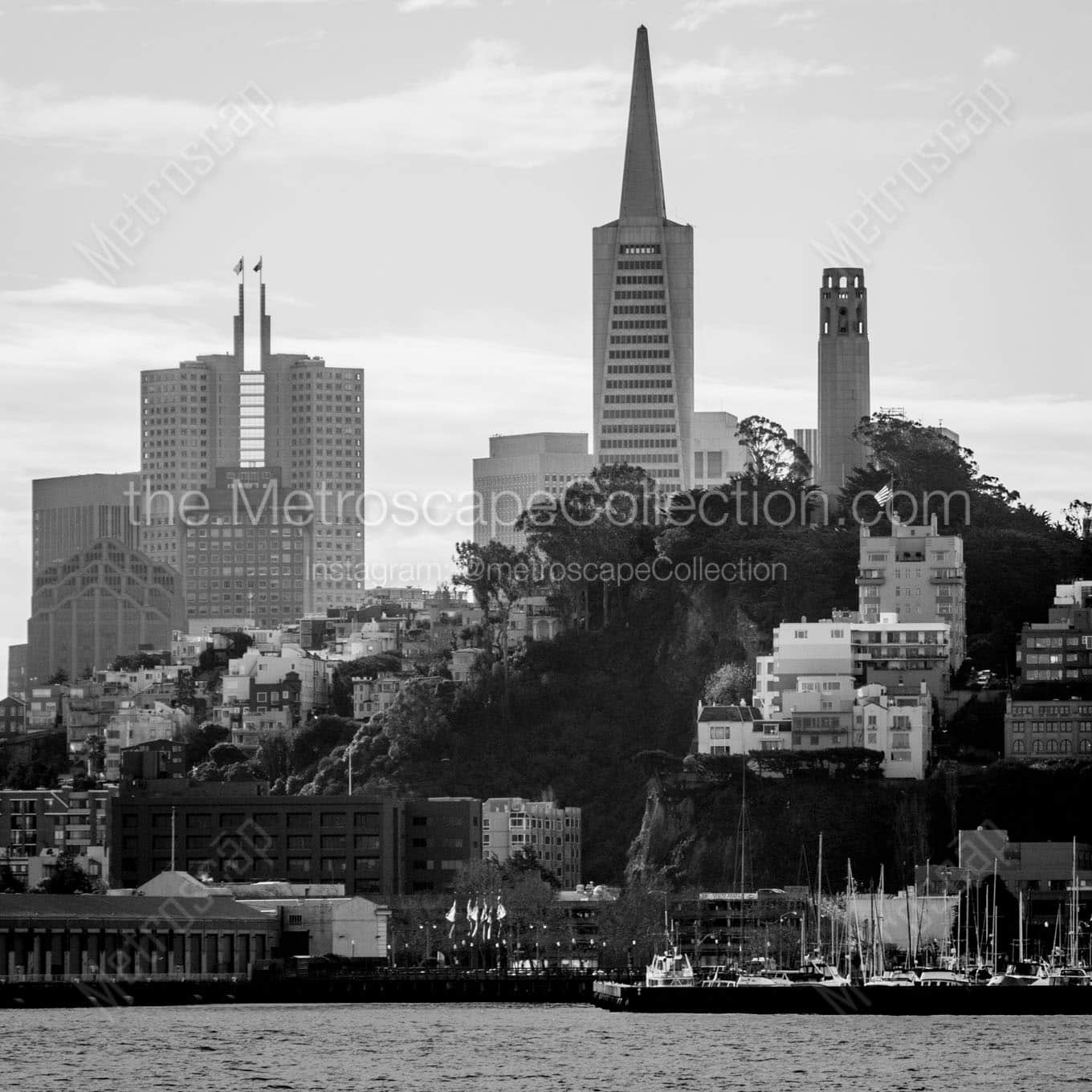 telegraph hill san francisco skyline Black & White Wall Art