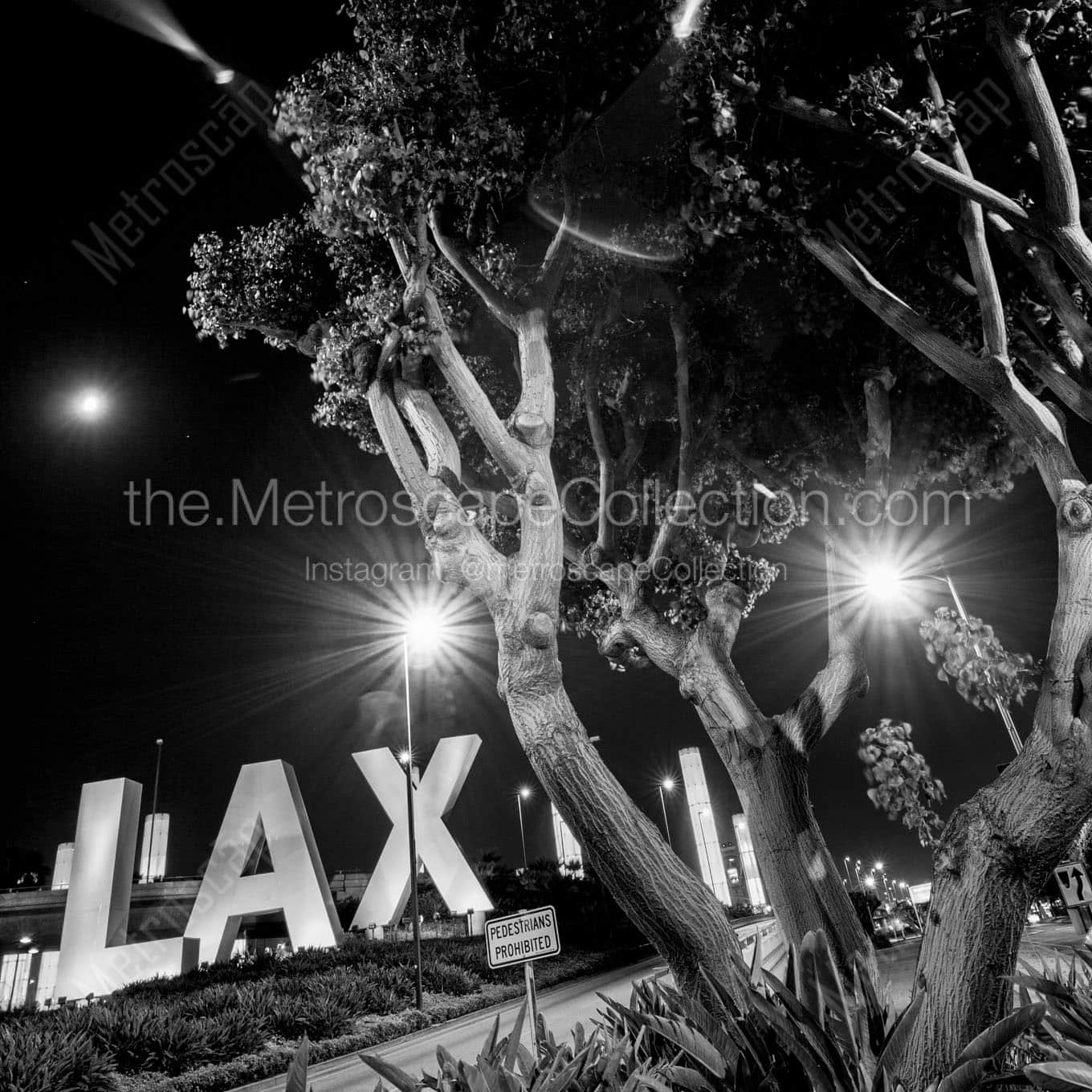 the lax sign at night Black & White Wall Art